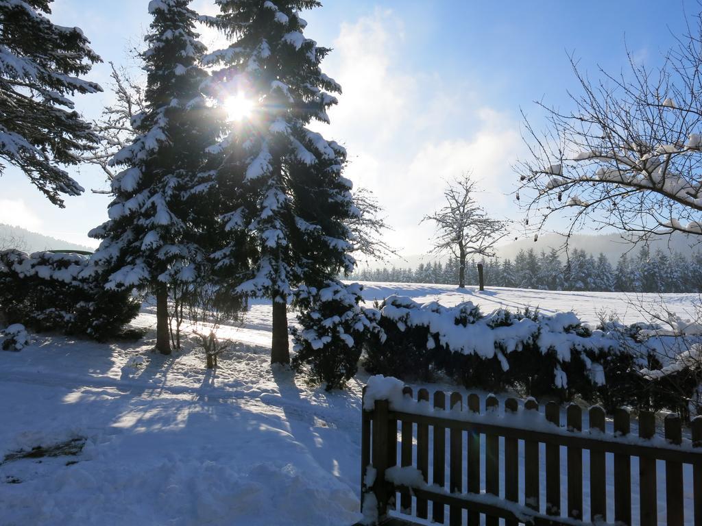 Ferienwohnung Tischneck Schramberg Cameră foto